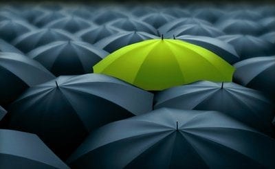 Online Bidding Platforms: The Difference Between Direct and Marketplace